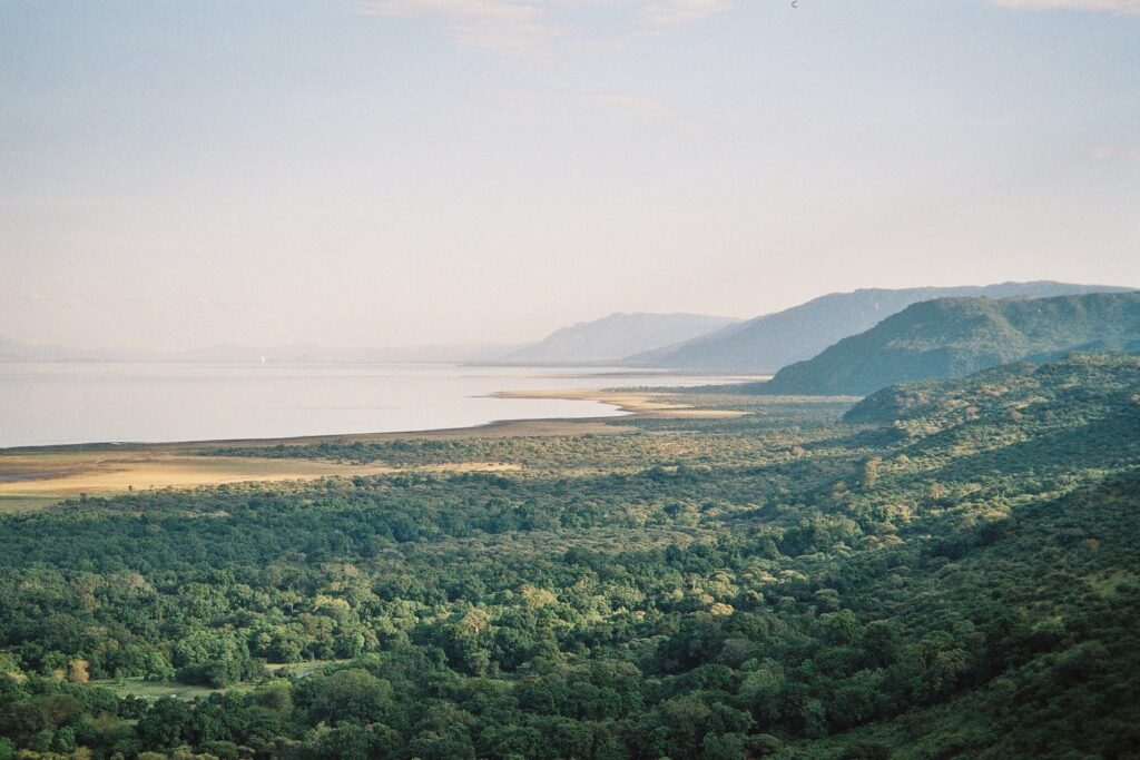 Lake_Manyara