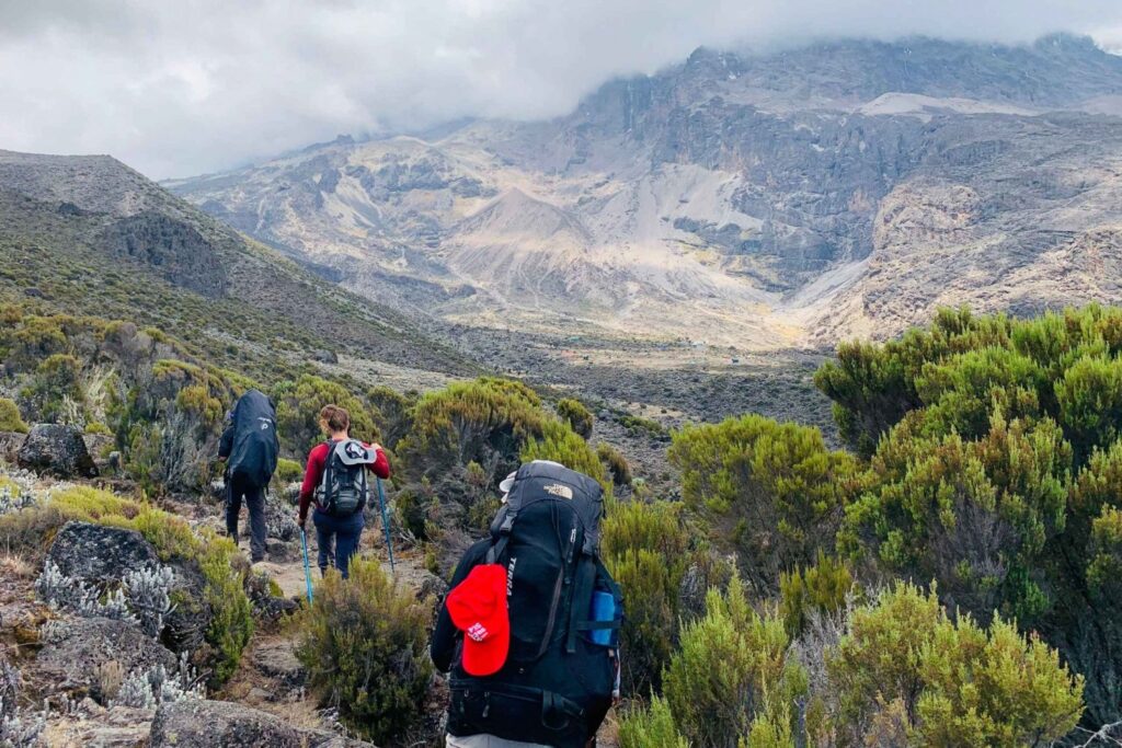 Climb Mt Kilimanjaro – Umbwe Route5