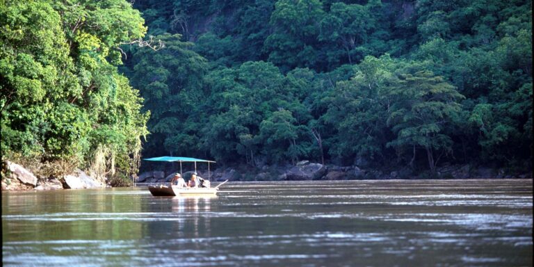 Nyerere National park4