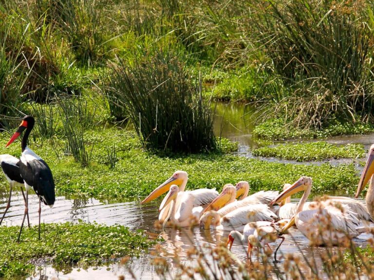 Udzungwa National Park4