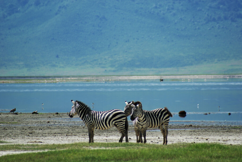 lake-manyara-1-1