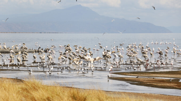 lake natron3