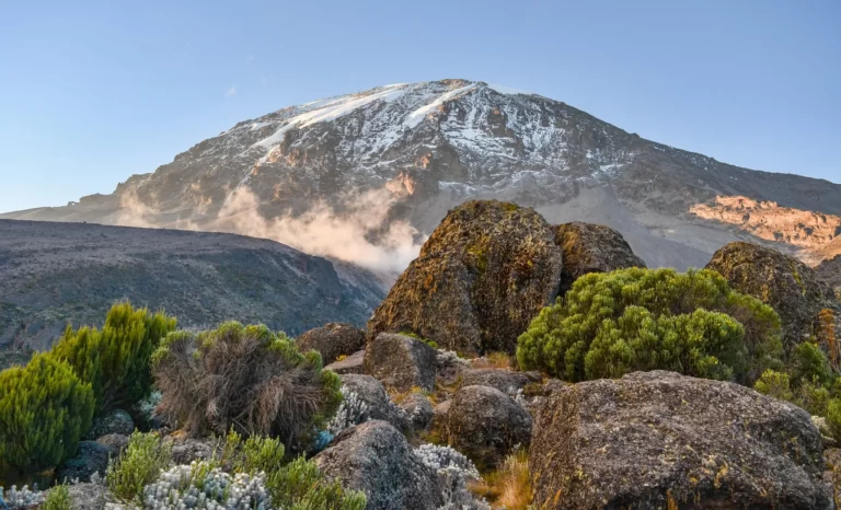 mount-kilimanjaro-national-park-tanzania