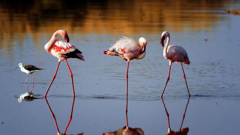 ngorongoro-crater-ngorongoro-conservation-area